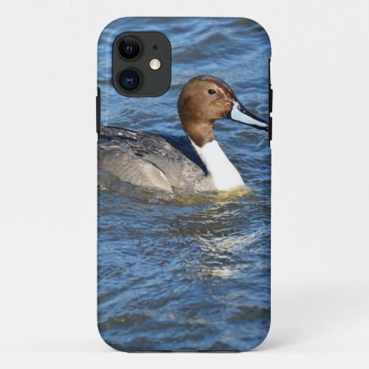 Noordelijke Pintail Duck Case-Mate iPhone Case (Achterkant)
