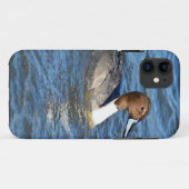 Noordelijke Pintail Duck Case-Mate iPhone Case (Achterkant (horizontaal))