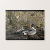 Noordelijke Pintail Duck Legpuzzel (Horizontaal)