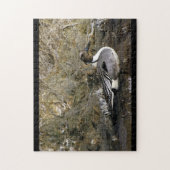 Noordelijke Pintail Duck Legpuzzel (Verticaal)