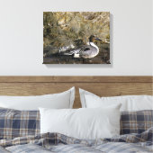 Noordelijke Pintail Duck Lovers Canvas Afdruk (Insitu (Slaapkamer))