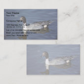 Noordelijke Pintail Duck Male Visitekaartje (Voorkant / Achterkant)