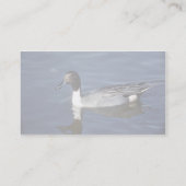 Noordelijke Pintail Duck Male Visitekaartje (Achterkant)