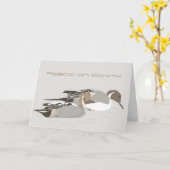 Noordelijke Pintail Ducks Kaart (Gele Bloem)