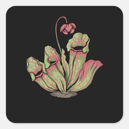 Noordelijke Pitcher Carnivoren Planten Sarracenia Vierkante Sticker (Voorkant)