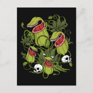 Noordelijke Pitcher Sarracenia Carnivoren Planten Briefkaart