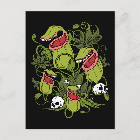 Noordelijke Pitcher Sarracenia Carnivoren Planten Briefkaart (Voorkant)