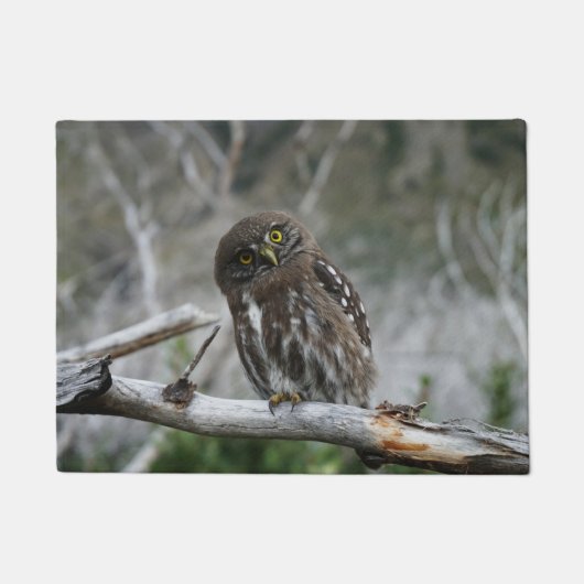 Noordelijke Pygmee Uil Deurmat (Voorkant)