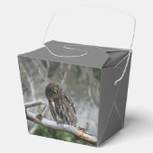 Noordelijke Pygmy Owl Bedankdoosjes (Voorkant)