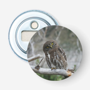 Noordelijke Pygmy Owl Button Flesopener