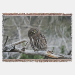 Noordelijke Pygmy Owl Deken