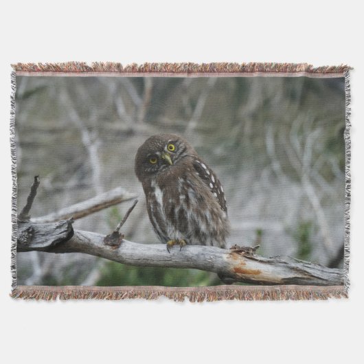 Noordelijke Pygmy Owl Deken (Voorkant)