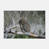 Noordelijke Pygmy Owl Deurmat (Voorkant)
