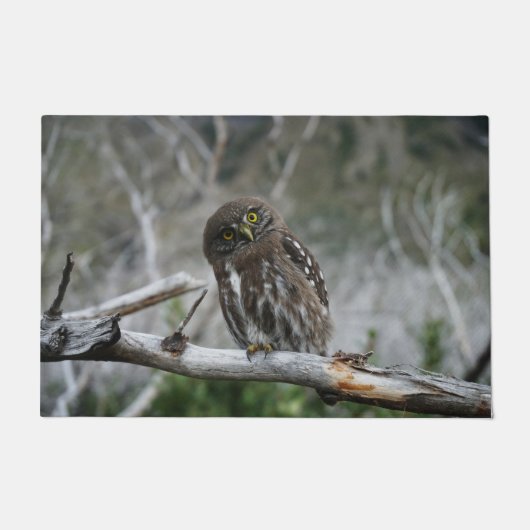 Noordelijke Pygmy Owl Deurmat (Voorkant)
