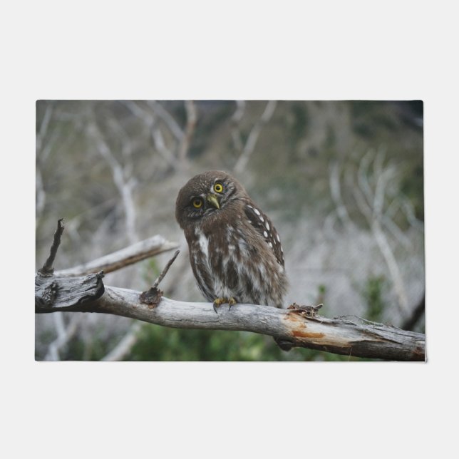 Noordelijke Pygmy Owl Deurmat (Voorkant)