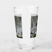 Noordelijke Pygmy Owl Glas (Links)