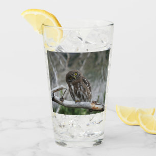 Noordelijke Pygmy Owl Glas