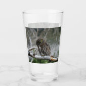 Noordelijke Pygmy Owl Glas (Voorkant)