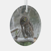 Noordelijke Pygmy Owl Glas Ornament (Voorkant Rechts)