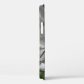 Noordelijke Pygmy Owl iPhone 12 Hoesje (Achterkant / Rechts)