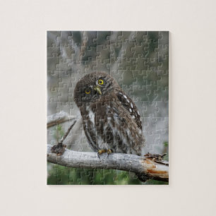 Noordelijke Pygmy Owl Jigzaag Puzzle Legpuzzel