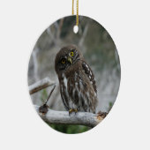 Noordelijke Pygmy Owl Keramisch Ornament (Rechts)