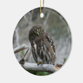 Noordelijke Pygmy Owl Keramisch Ornament (Links)