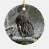 Noordelijke Pygmy Owl Keramisch Ornament (Achterkant)