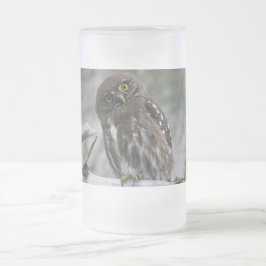 Noordelijke Pygmy Owl Matglas Bierpul