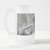 Noordelijke Pygmy Owl Matglas Bierpul (Links)