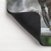 Noordelijke Pygmy Owl Muismat (Hoek)