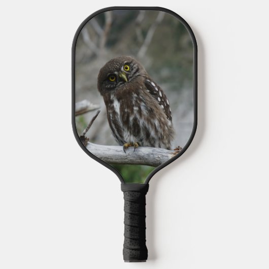 Noordelijke Pygmy Owl Pickleball Paddle (Voorkant)