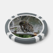 Noordelijke Pygmy Owl Poker Chips (Enkel)