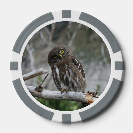Noordelijke Pygmy Owl Poker Chips (Voorkant)