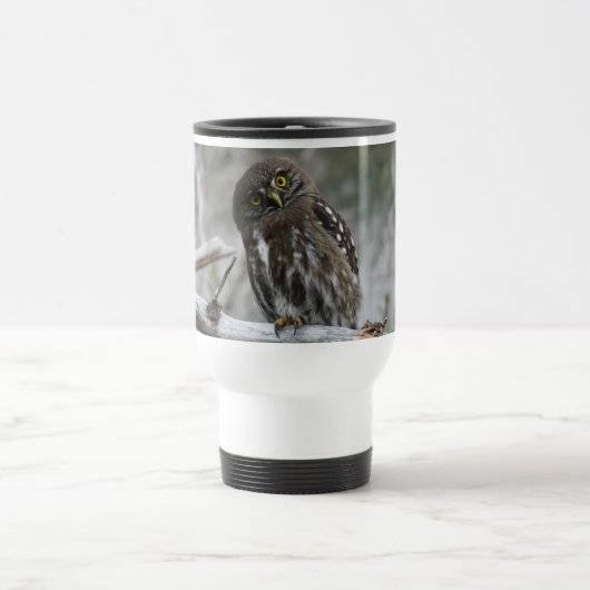 Noordelijke Pygmy Owl Reisbeker (Center)