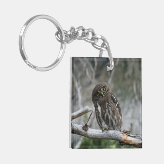 Noordelijke Pygmy Owl Sleutelhanger (Voorkant Links)