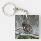 Noordelijke Pygmy Owl Sleutelhanger (Voorkant)