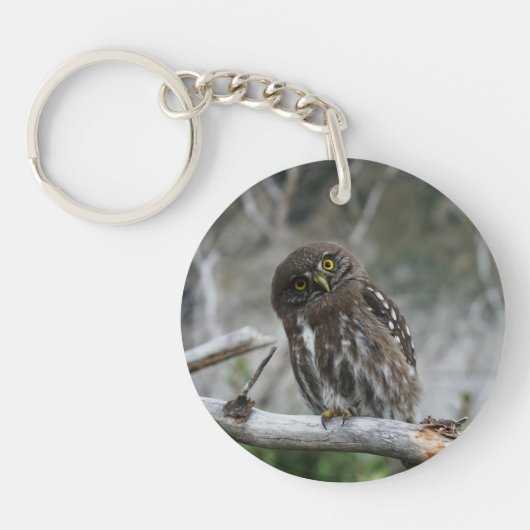 Noordelijke Pygmy Owl Sleutelhanger (Voorkant)