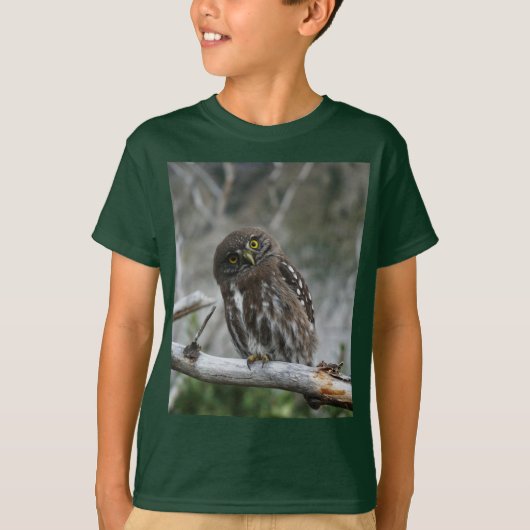 Noordelijke Pygmy Owl T-Shirt (Voorkant)