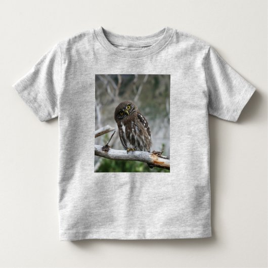 Noordelijke Pygmy Owl Toddler T-Shirt (Voorkant)