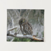 Noordelijke Pygmy Owl Wandkleed (Voorkant (horizontaal))