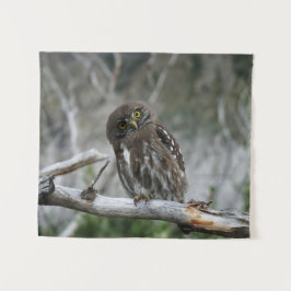 Noordelijke Pygmy Owl Wandkleed