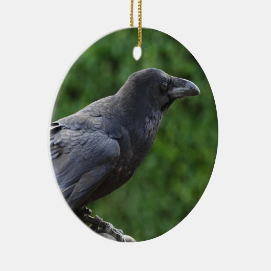 Noordelijke Raven Keramisch Ornament (Rechts)