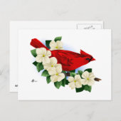 Noordelijke Rode Kardinaal Briefkaart (Voorkant / Achterkant)