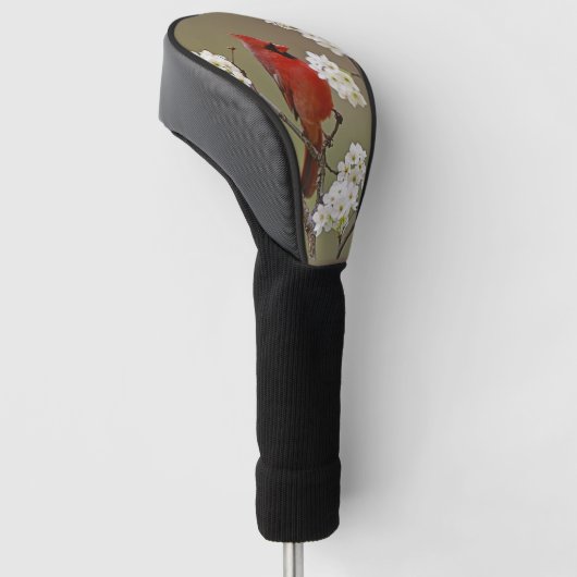 Noordelijke rode kardinaal onder de bloesems van d golfheadcover (Schuin)