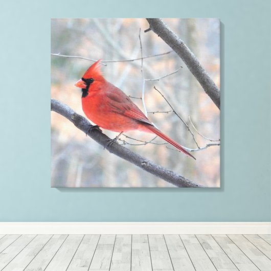 Noordelijke Rode Kardinaal Verpakt Canvas Print (Insitu (Houten vloer))