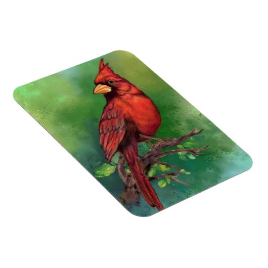 noordelijke rode kardinaalmagneet magneet (Rechterzijde)