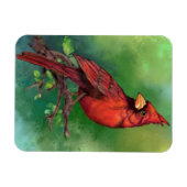 noordelijke rode kardinaalmagneet magneet (Horizontaal)