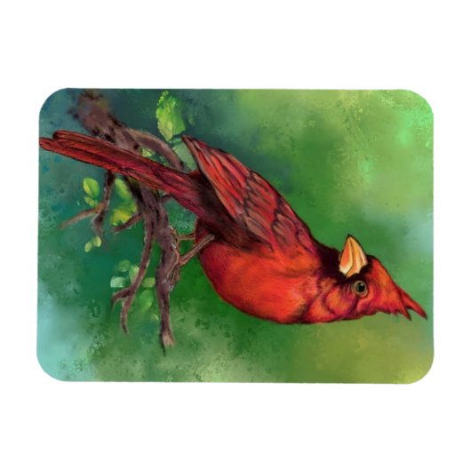 noordelijke rode kardinaalmagneet magneet (Horizontaal)