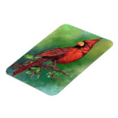 noordelijke rode kardinaalmagneet magneet (Linkerzijde)